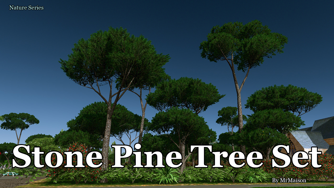 UmbrellaPine Promo.jpg